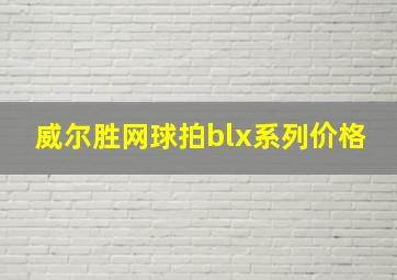 威尔胜网球拍blx系列价格