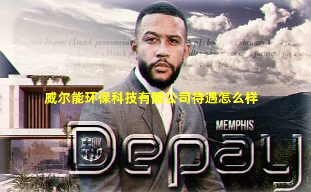 威尔能环保科技有限公司待遇怎么样