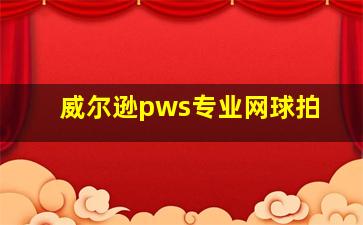 威尔逊pws专业网球拍