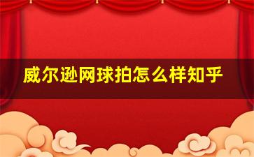 威尔逊网球拍怎么样知乎