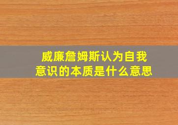 威廉詹姆斯认为自我意识的本质是什么意思