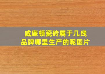 威廉顿瓷砖属于几线品牌哪里生产的呢图片