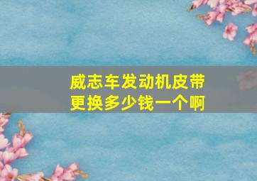 威志车发动机皮带更换多少钱一个啊