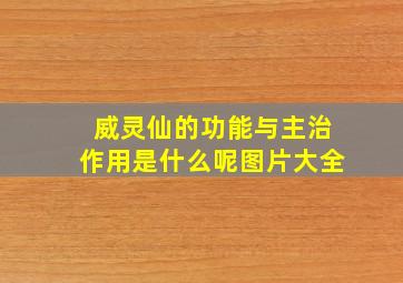 威灵仙的功能与主治作用是什么呢图片大全