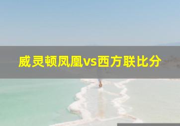 威灵顿凤凰vs西方联比分