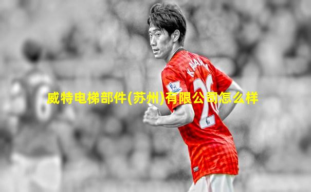 威特电梯部件(苏州)有限公司怎么样