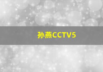 孙燕CCTV5