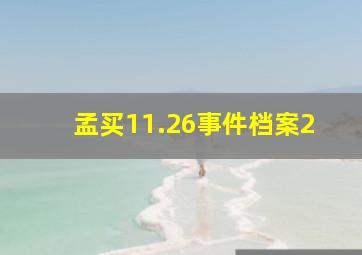 孟买11.26事件档案2