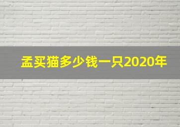 孟买猫多少钱一只2020年