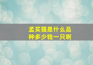 孟买猫是什么品种多少钱一只啊