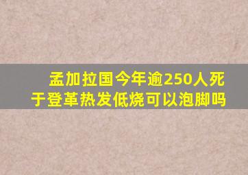 孟加拉国今年逾250人死于登革热发低烧可以泡脚吗