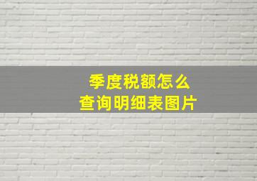 季度税额怎么查询明细表图片