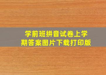 学前班拼音试卷上学期答案图片下载打印版