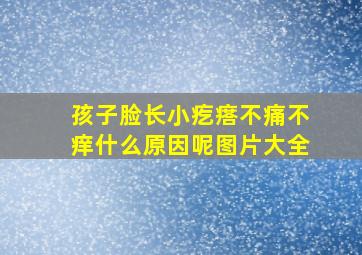 孩子脸长小疙瘩不痛不痒什么原因呢图片大全