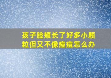 孩子脸颊长了好多小颗粒但又不像痘痘怎么办