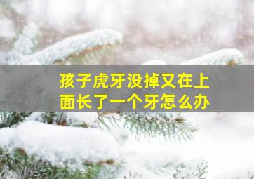 孩子虎牙没掉又在上面长了一个牙怎么办