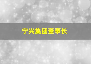 宁兴集团董事长