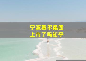 宁波赛尔集团上市了吗知乎