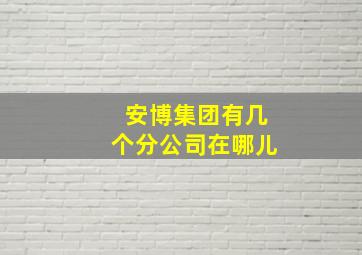 安博集团有几个分公司在哪儿