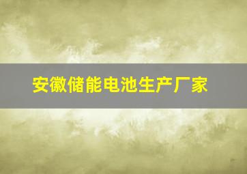 安徽储能电池生产厂家