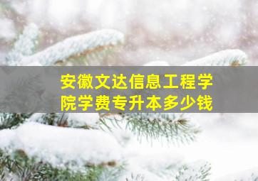 安徽文达信息工程学院学费专升本多少钱