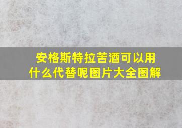 安格斯特拉苦酒可以用什么代替呢图片大全图解