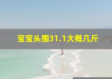 宝宝头围31.1大概几斤