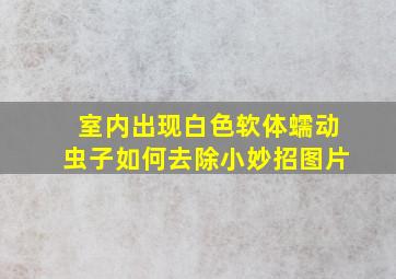 室内出现白色软体蠕动虫子如何去除小妙招图片