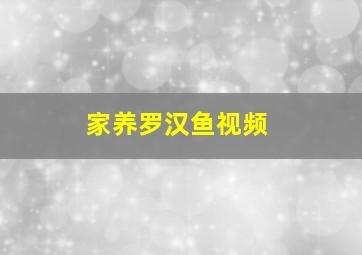 家养罗汉鱼视频