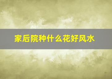 家后院种什么花好风水