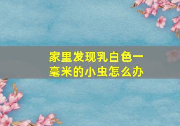 家里发现乳白色一毫米的小虫怎么办