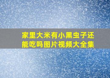 家里大米有小黑虫子还能吃吗图片视频大全集