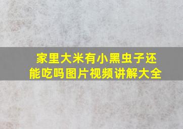 家里大米有小黑虫子还能吃吗图片视频讲解大全