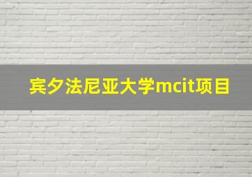 宾夕法尼亚大学mcit项目