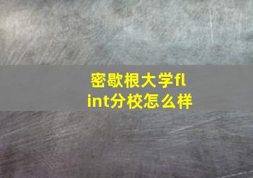 密歇根大学flint分校怎么样