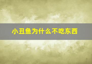 小丑鱼为什么不吃东西