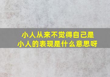 小人从来不觉得自己是小人的表现是什么意思呀