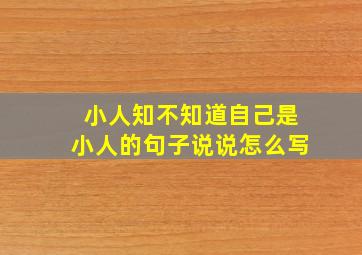 小人知不知道自己是小人的句子说说怎么写