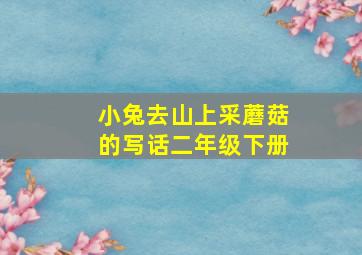 小兔去山上采蘑菇的写话二年级下册