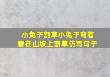 小兔子割草小兔子弯着腰在山坡上割草仿写句子