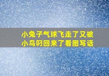 小兔子气球飞走了又被小鸟叼回来了看图写话