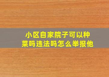 小区自家院子可以种菜吗违法吗怎么举报他