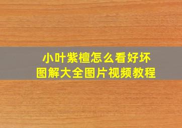 小叶紫檀怎么看好坏图解大全图片视频教程