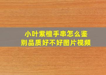 小叶紫檀手串怎么鉴别品质好不好图片视频