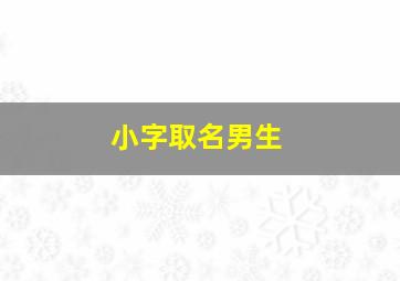 小字取名男生