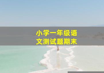 小学一年级语文测试题期末