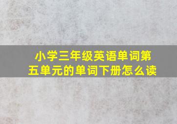 小学三年级英语单词第五单元的单词下册怎么读