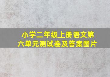 小学二年级上册语文第六单元测试卷及答案图片