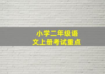 小学二年级语文上册考试重点