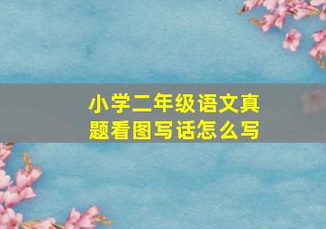 小学二年级语文真题看图写话怎么写